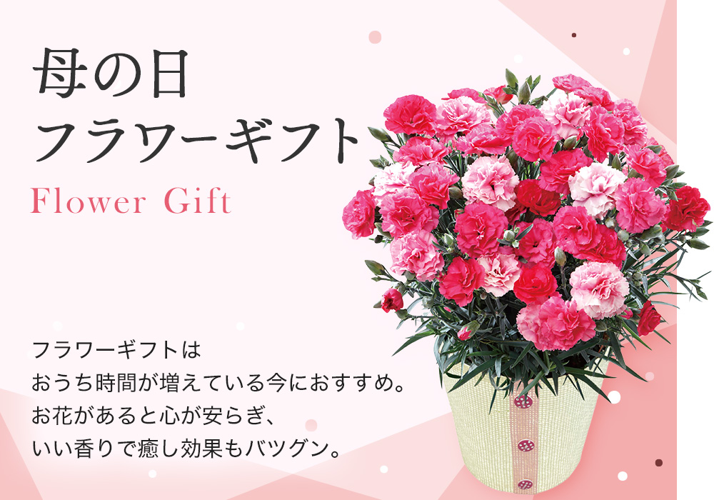 母の日フラワーギフト フラワーギフトはおうち時間が増えている今におすすめ。お花があると心が安らぎ、いい香りで癒し効果もバツグン。