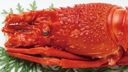 「ぎをん や満文」迎春おせち ロブスター