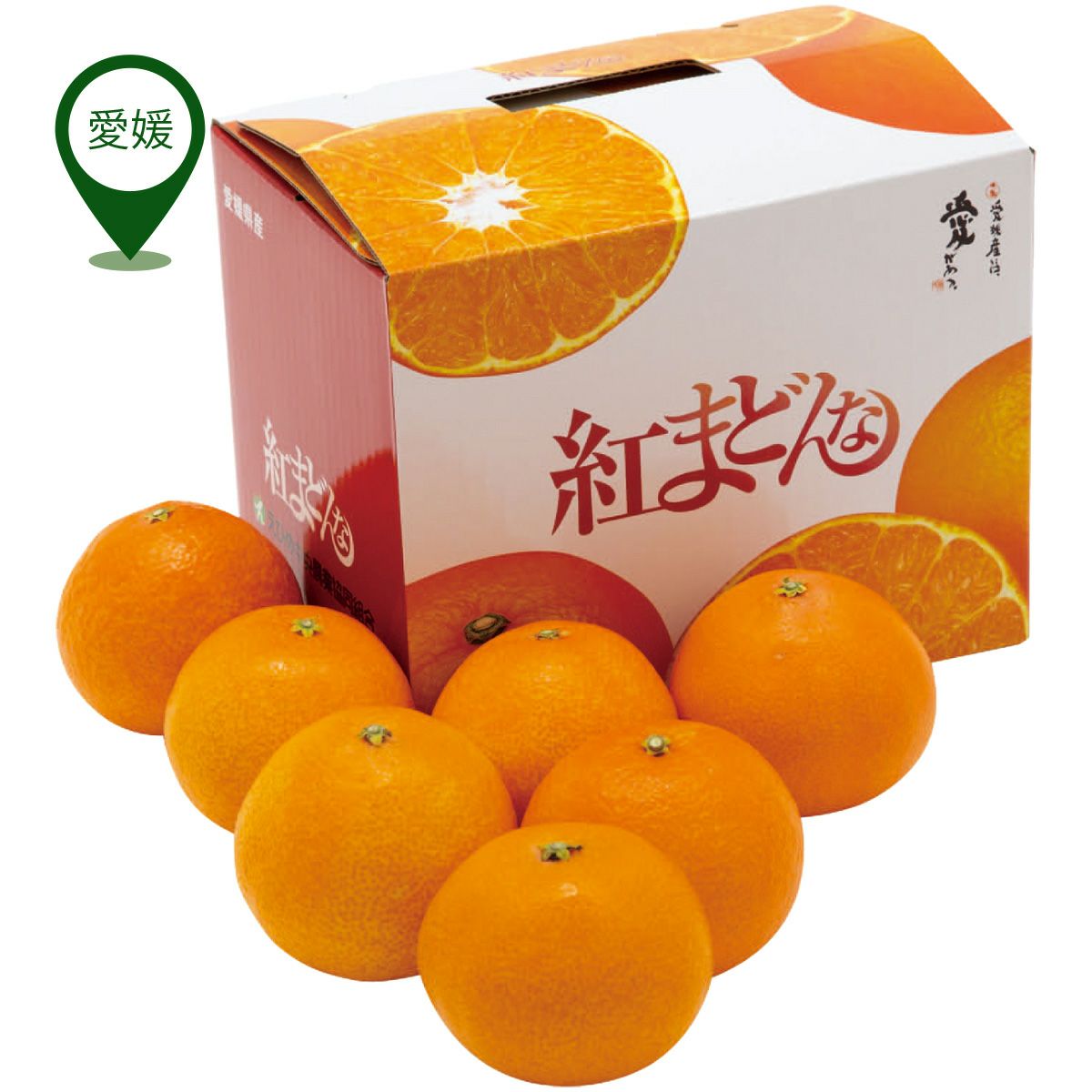 SA♡さま専用　愛媛県産まどんな 愛媛県産 紅まどんな | DOSHISHA OKURIMONO MARCHE