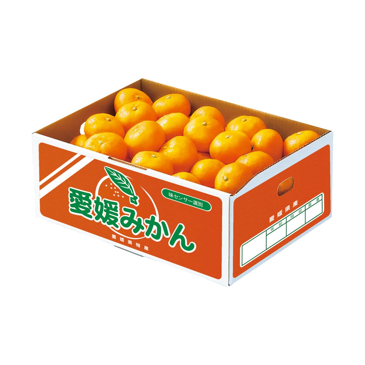 愛媛みかん | DOSHISHA OKURIMONO MARCHE